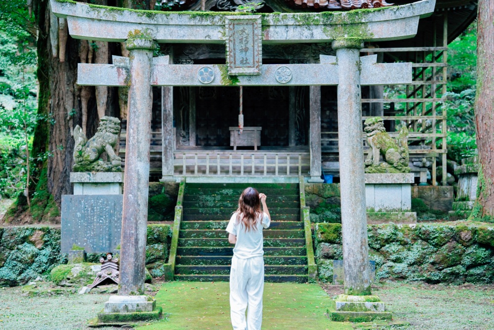 大杉神社