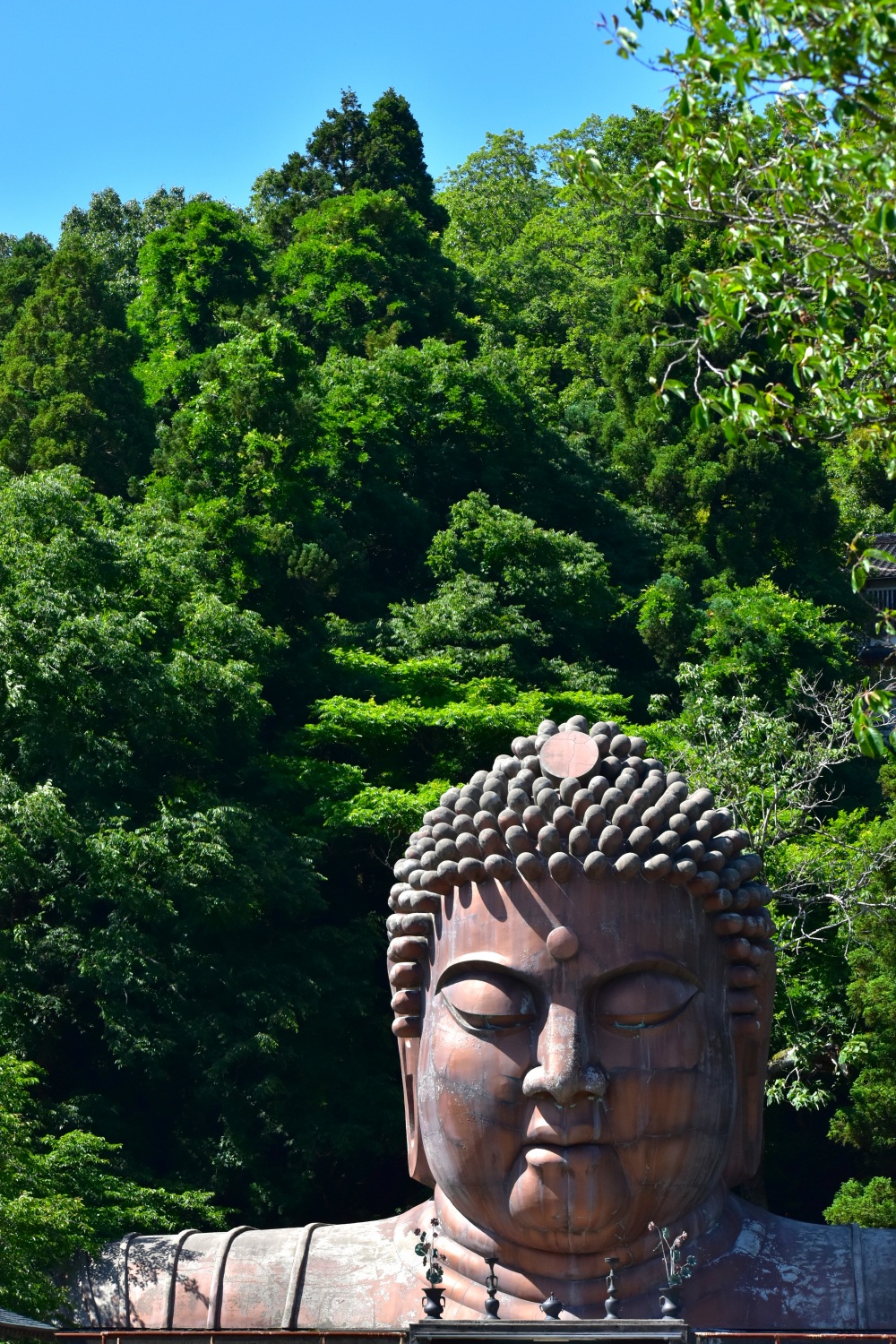 ハニベ巌窟院