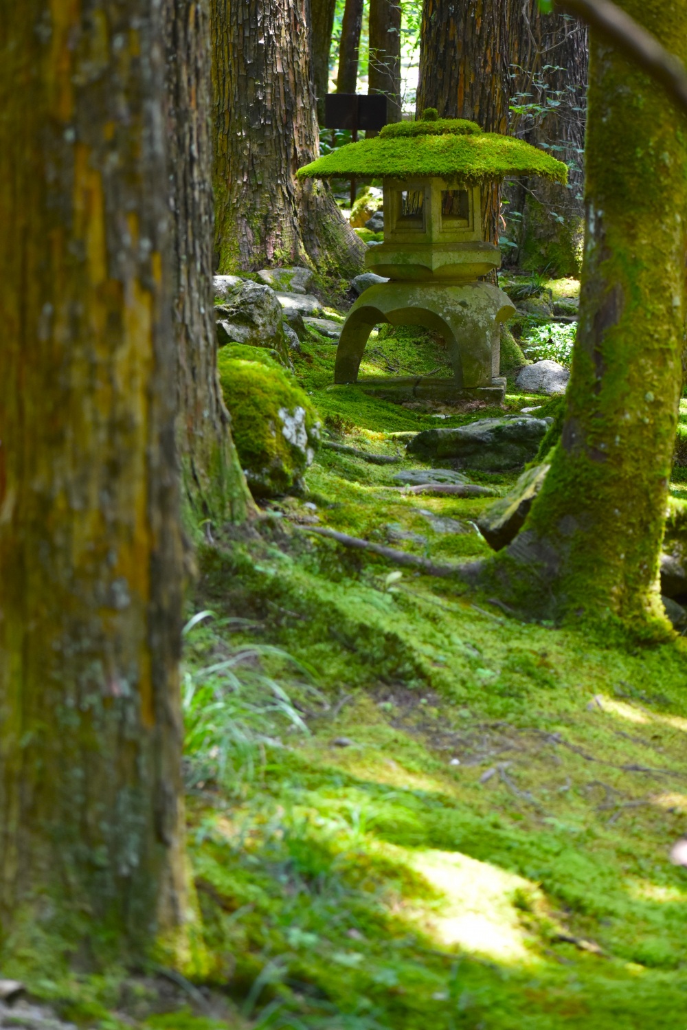 苔の里