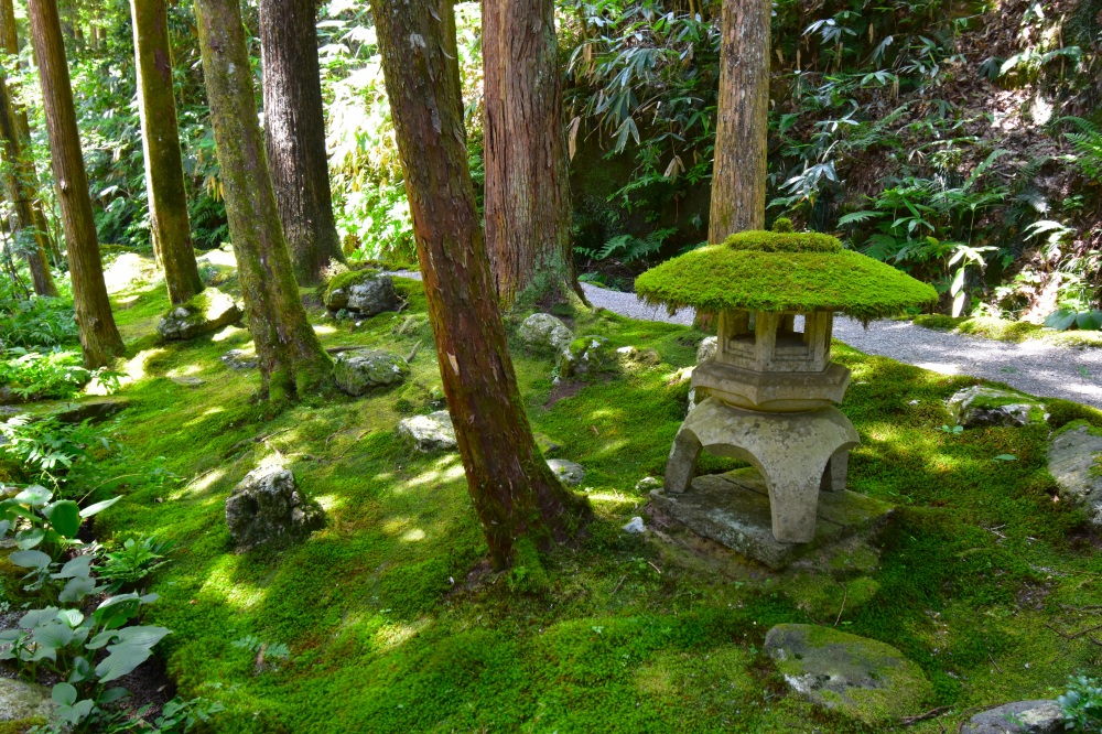 苔の里