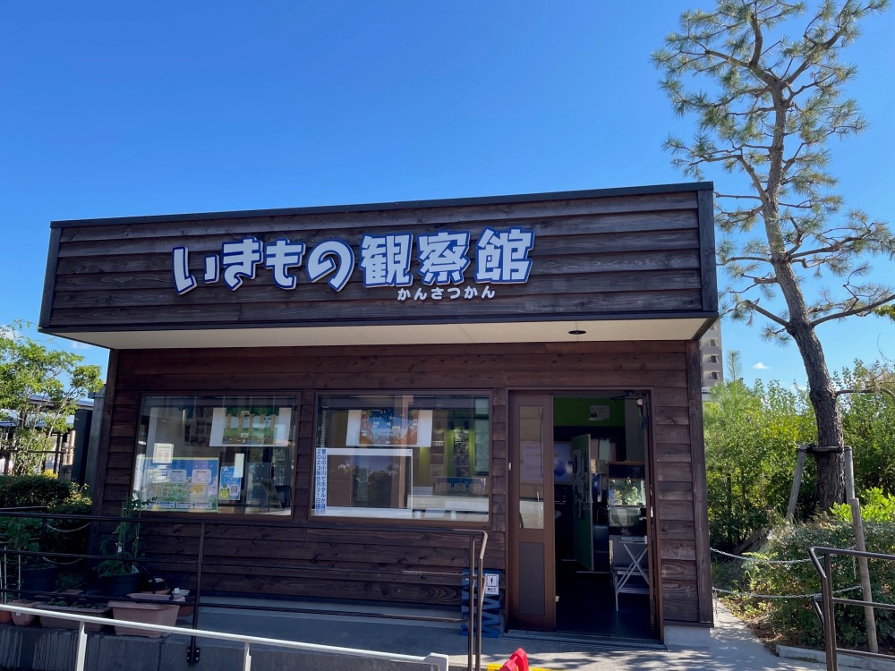 こまつの杜