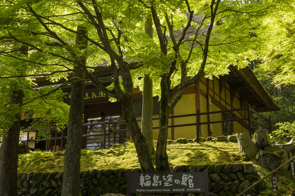 ゆのくにの森