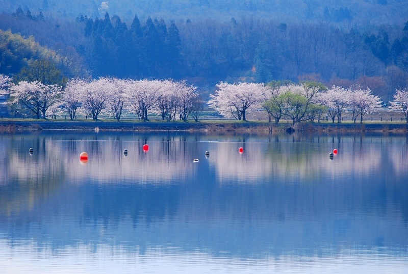 木場潟公園