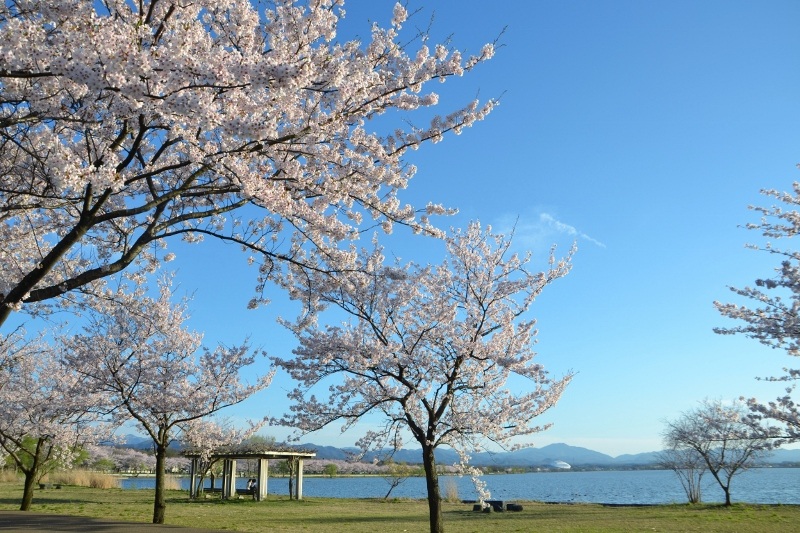 木場潟公園
