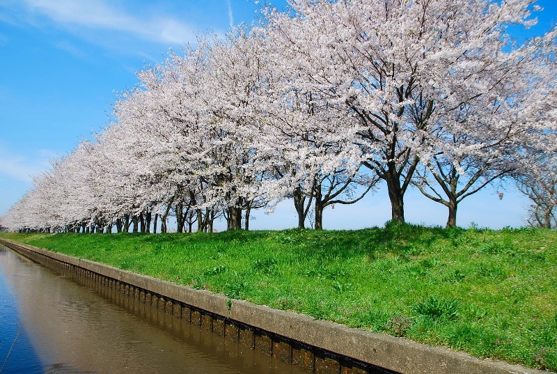木場潟公園