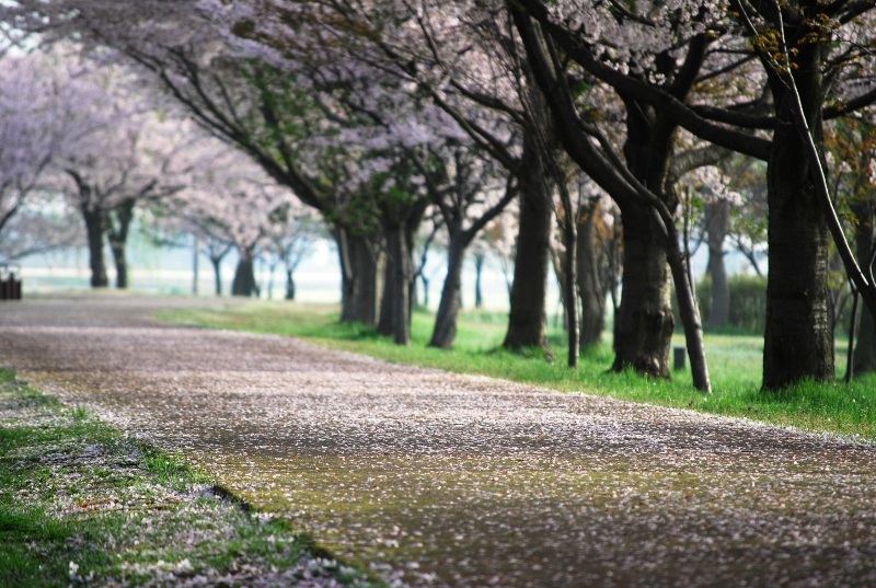 木場潟公園