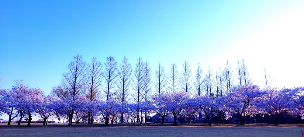 木場潟公園
