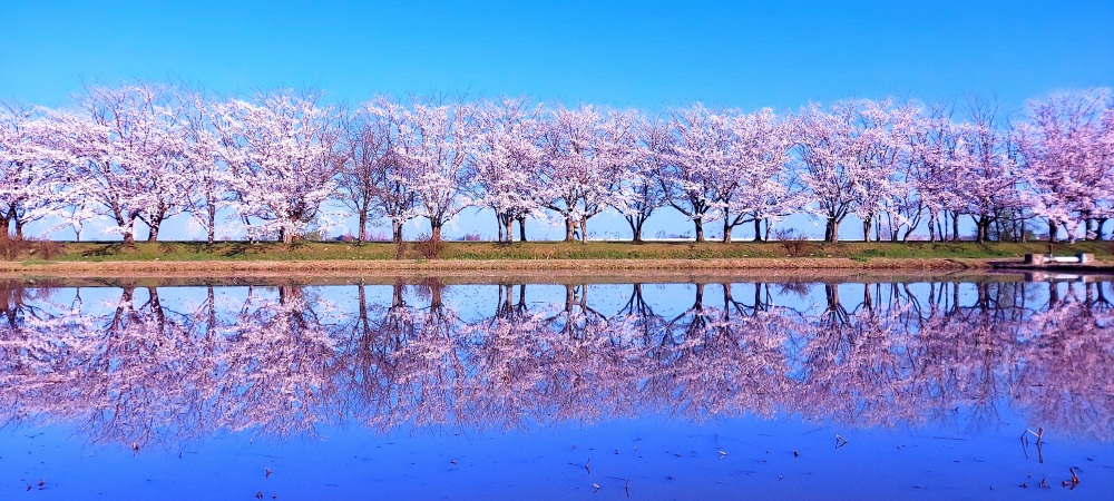 木場潟公園