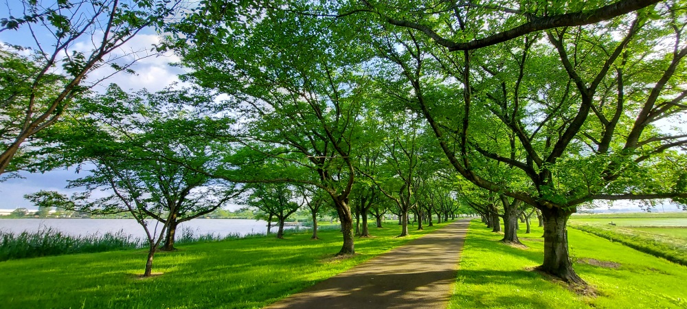 木場潟公園