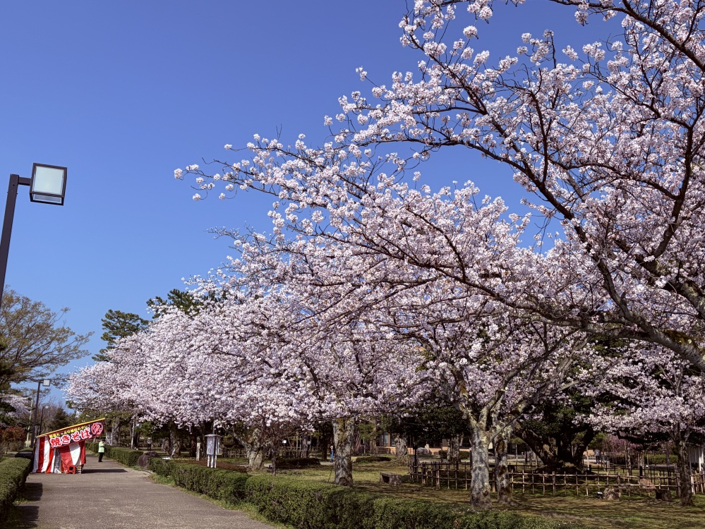 芦城公園