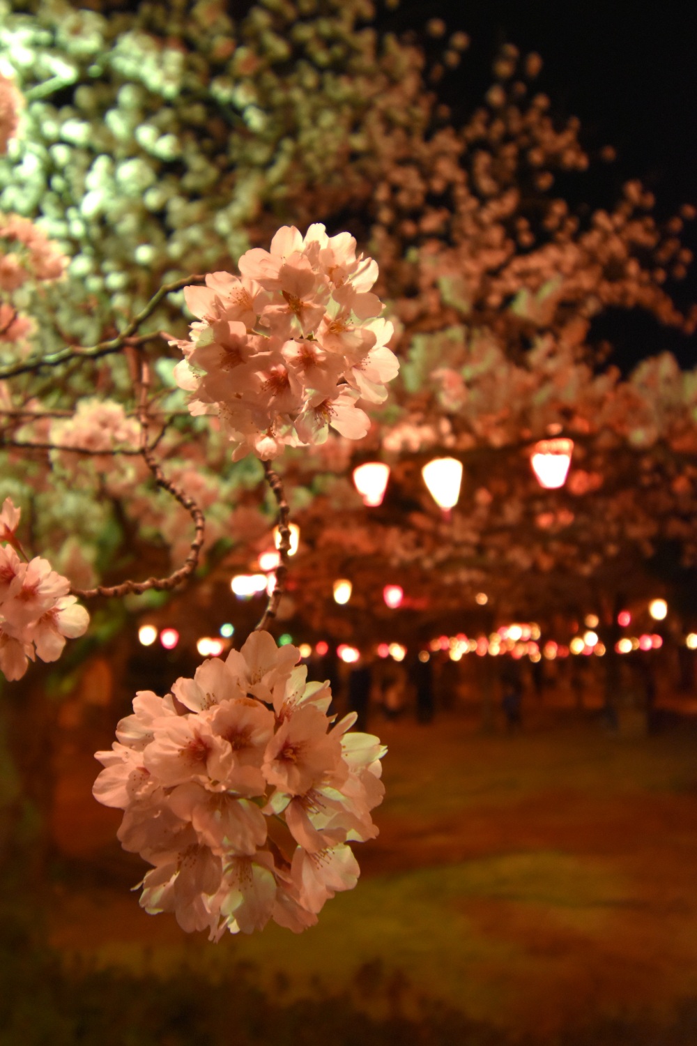 芦城公園