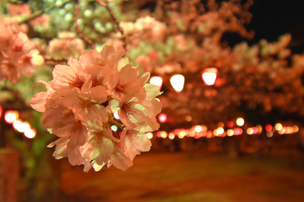 芦城公園