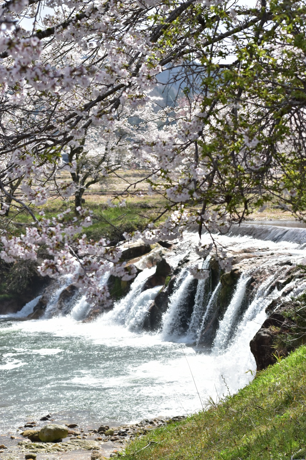 十二ヶ滝