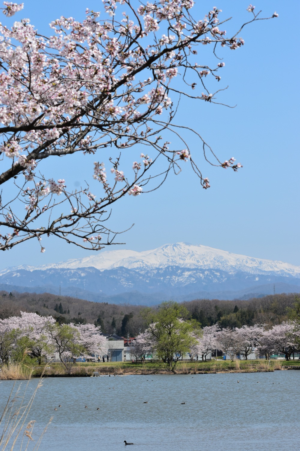 木場潟公園
