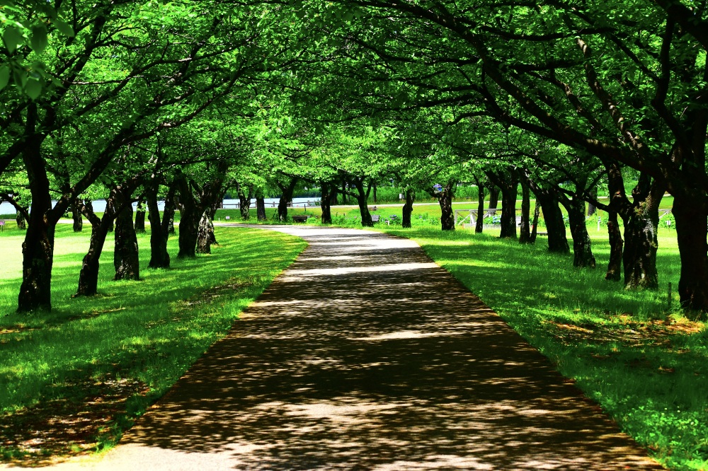 木場潟公園