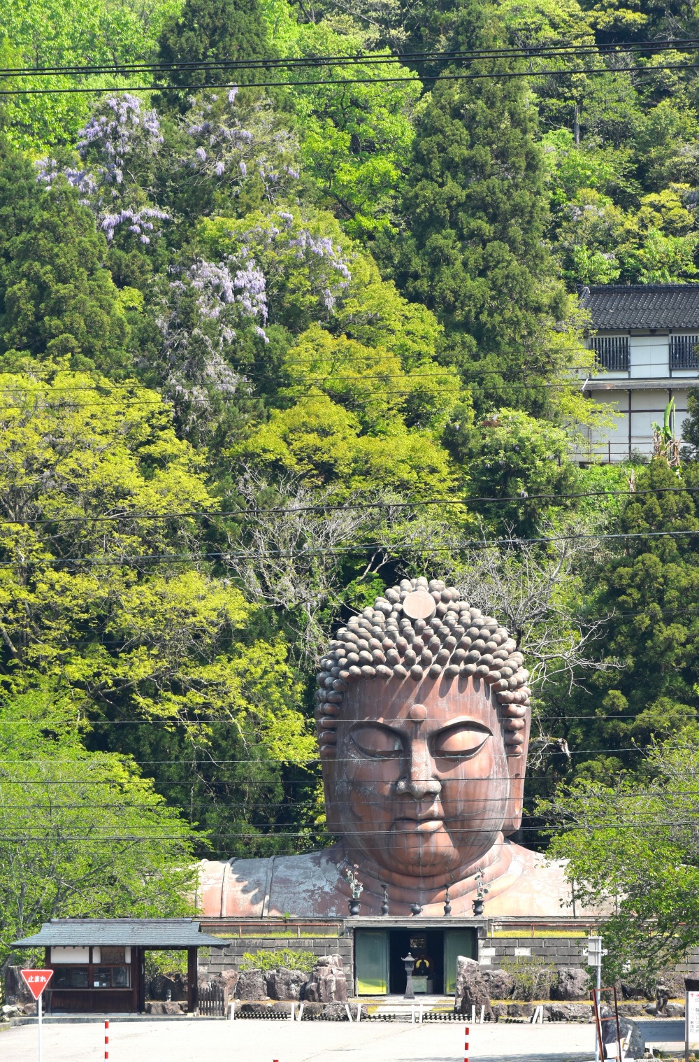 ハニベ巌窟院