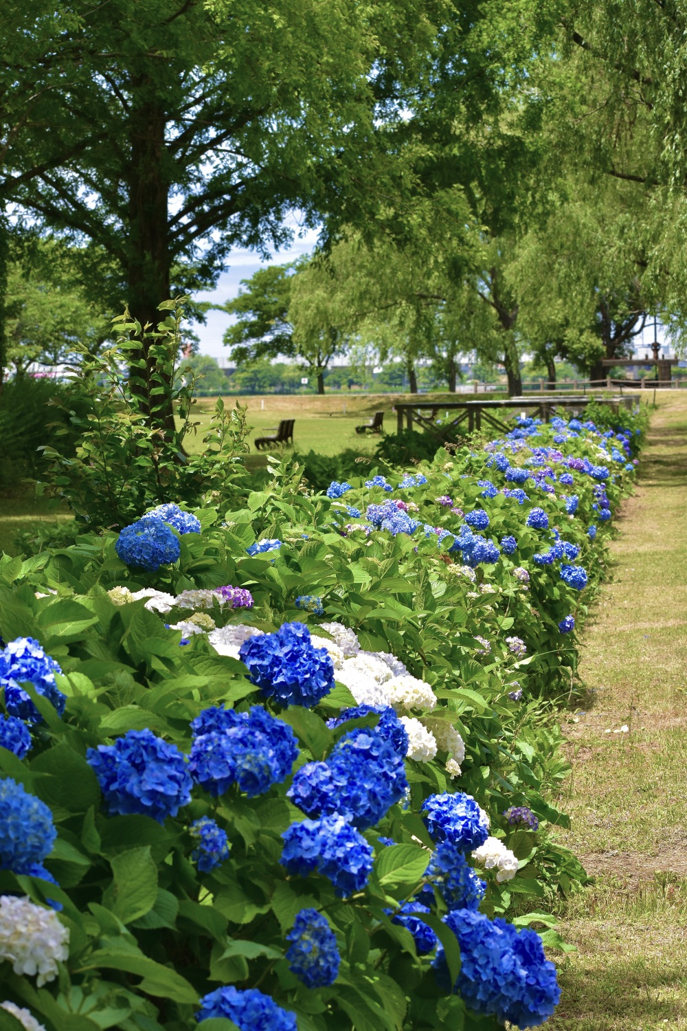 木場潟公園