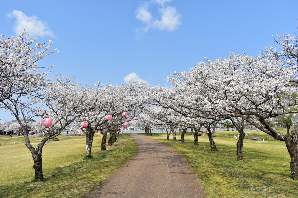 木場潟公園