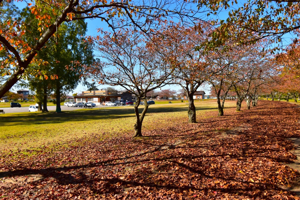 木場潟公園