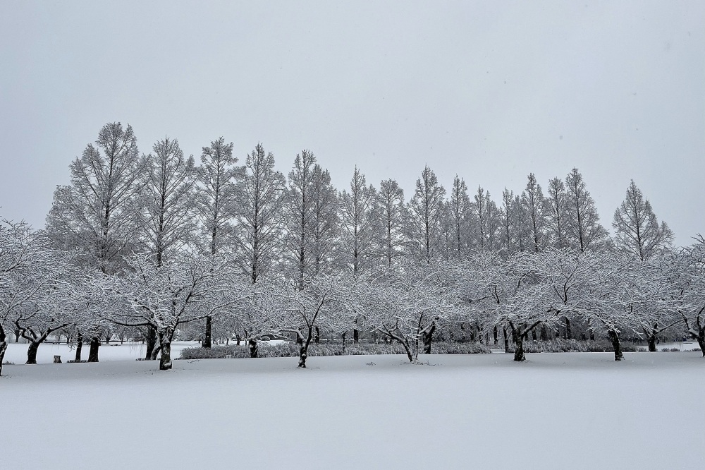 木場潟公園