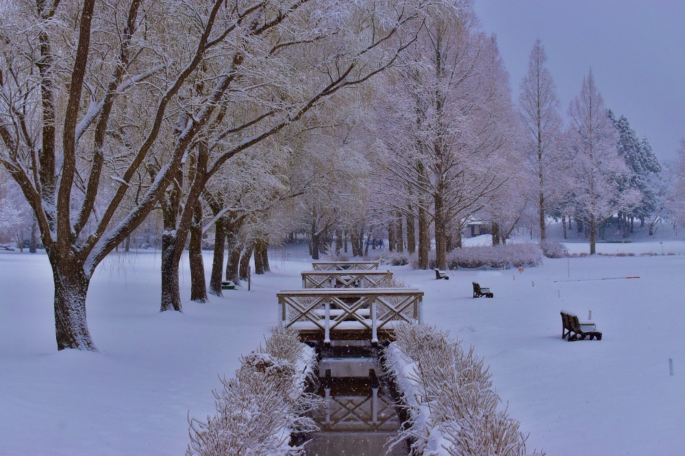 【小松市絶景スポット】 ここでしか見られない  ”冬の絶景おすすめスポット6選”