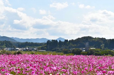 ※2020年の写真です