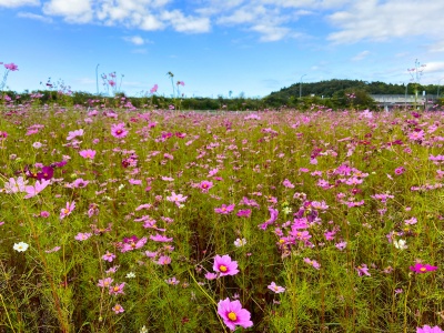 ※2021年の写真です