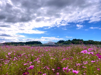 ※2021年の写真です