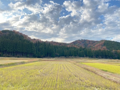 杜庵からのぞむ田園風景