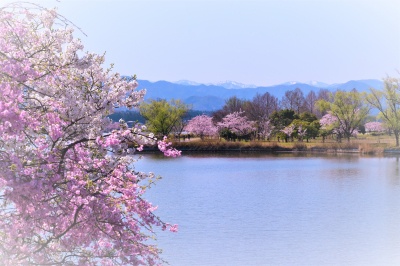 木場潟公園北園地