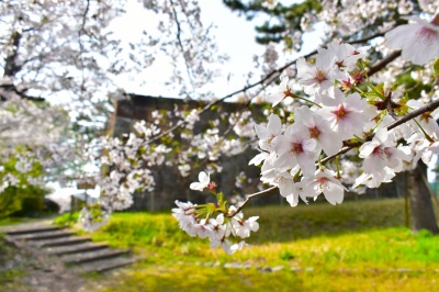 小松城天守台
