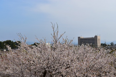 小松城天守台