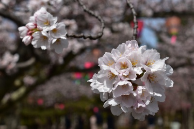 芦城公園