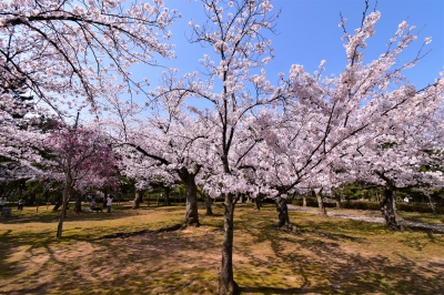 芦城公園