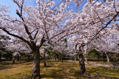 芦城公園