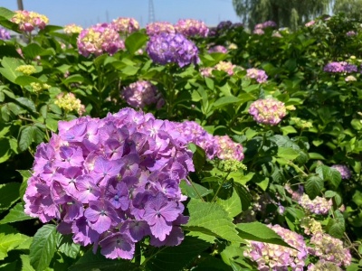 木場潟公園南園地