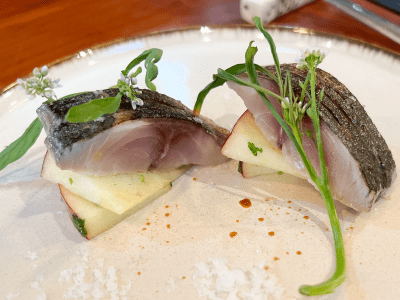 冬の定番　りんごとミントとしめ鯖