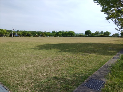 サッカーコート2面分の芝生広場