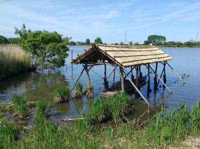 湖畔に浮かぶ舟小屋