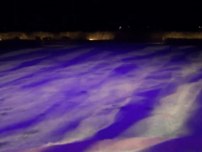 夜の芝生を彩るライトアップ