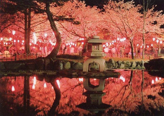 自然・風景