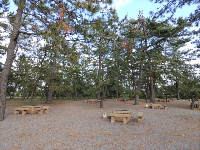 ふれあい健康広場