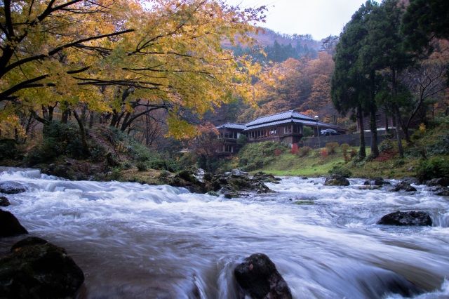 紅葉　おすすめスポット