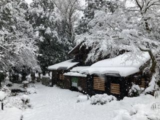 雪景色