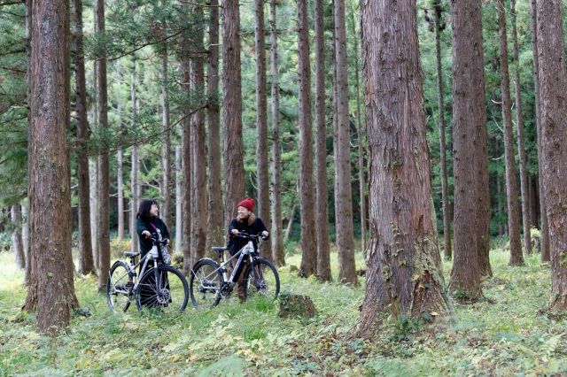 森林でのサイクリング体験