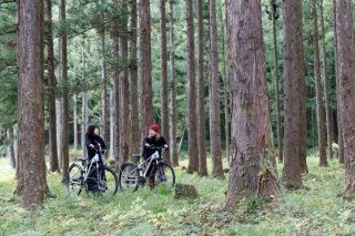森林でのサイクリング体験