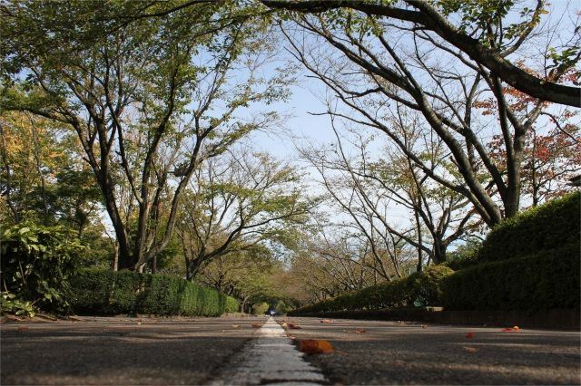 県営粟津公園