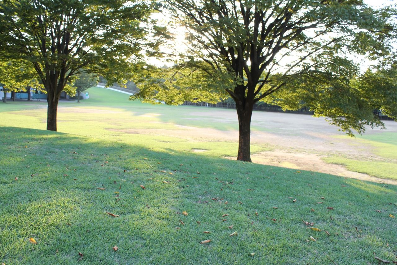 夕暮れ時の粟津公園