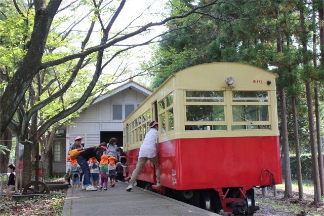 尾小屋鉄道の乗車体験