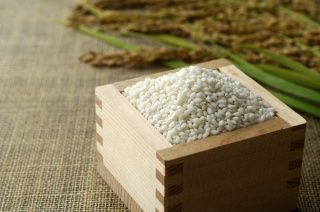 とにかくこだわって栽培するもち米。自社商品を作る為に特別栽培するもち米であり、“おもち”や“かきもち”などに加工します。